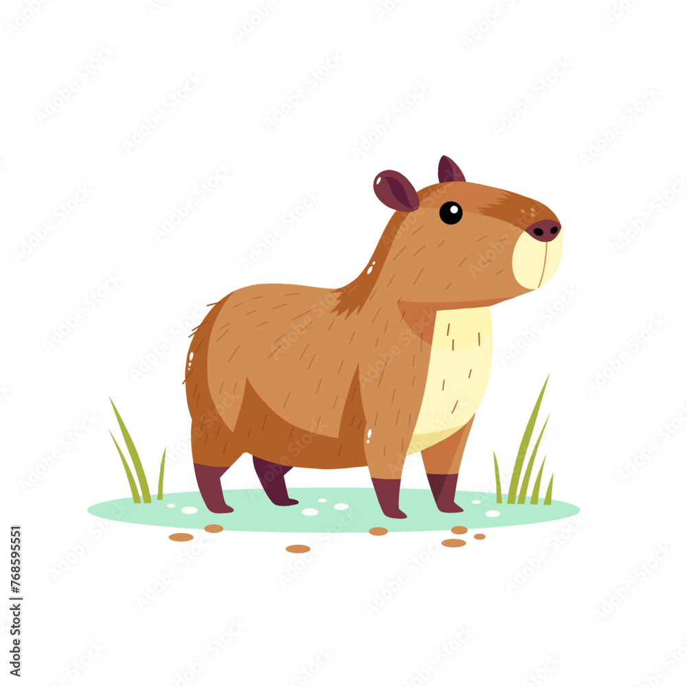 Fototapeta premium Capybara. Cute largest rodent. Vector hand drawn illustration isolated on white background. July 10th is Capybara Appreciation Day. Water pig.
