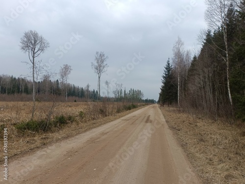 Road in forest in Siauliai county during cloudy early spring day. Oak and birch tree woodland. cloudy day with white clouds in blue sky. Bushes are growing in woods. Sandy road. Nature. Miskas. 