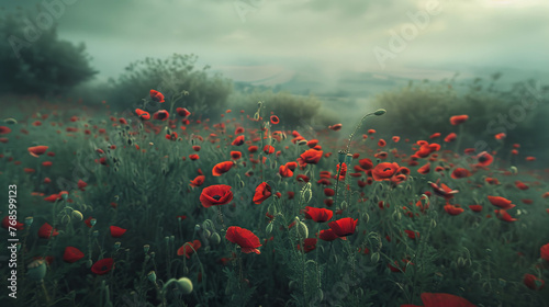 Atmospheric and moody landscape filled with red poppy flowers under a surreal, cloudy sky giving a dramatic, serene feeling