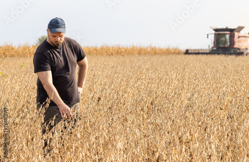 Harvesting of soybean field with combine. © Dusan Kostic