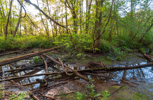 Billy Frank Jr. Nisqually National Wildlife Refuge