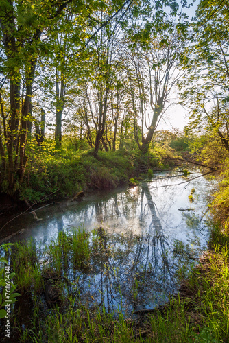 Billy Frank Jr. Nisqually National Wildlife Refuge