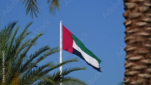 The UAE flag waving on the flagpole, framed by palm trees, at Sharjah Flag Island in the United Arab Emirates photo