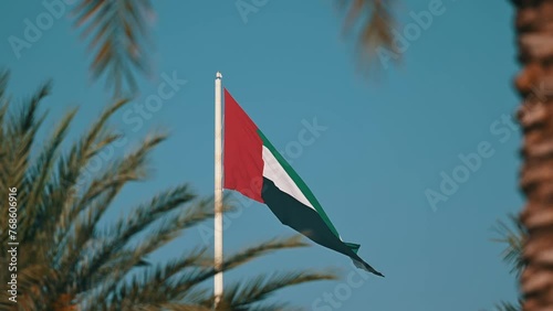 The UAE flag waving on the flagpole, framed by palm trees, at Sharjah Flag Island in the United Arab Emirates photo