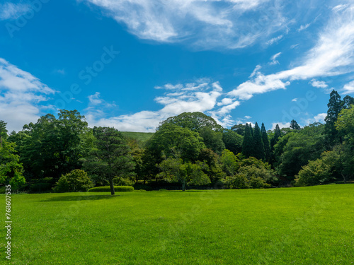 鮮やかな新緑の芝が広がる奈良公園の庭園