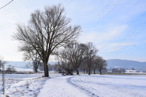 snowy road with trees © Markus Volk