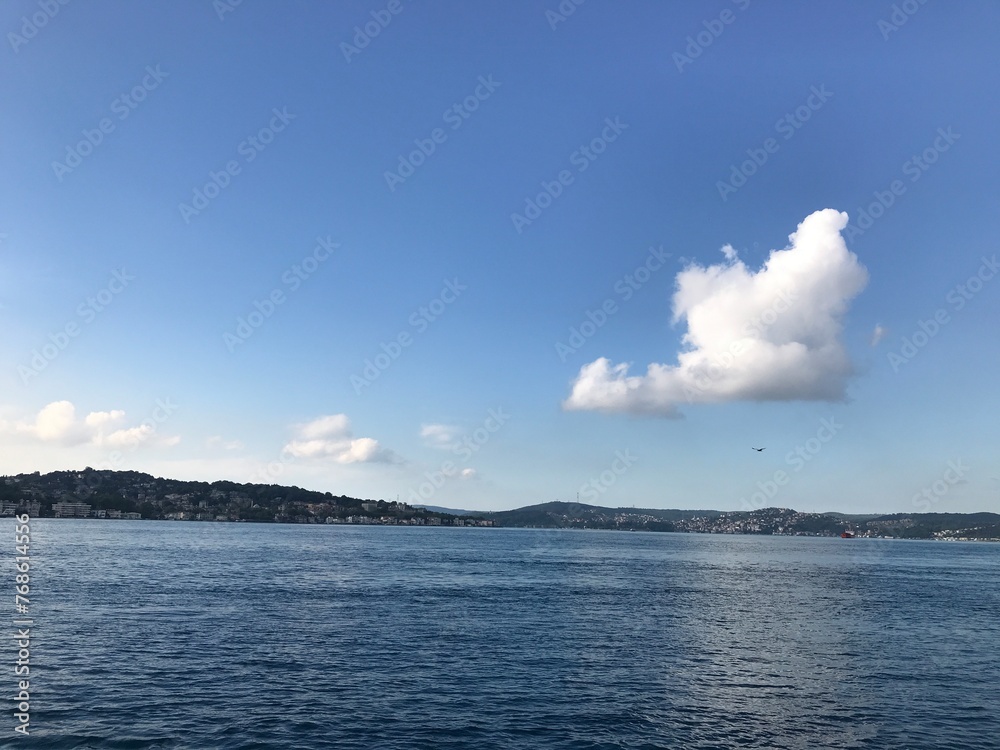 Blue Hues: Sky, Clouds, Seagull, and Sea