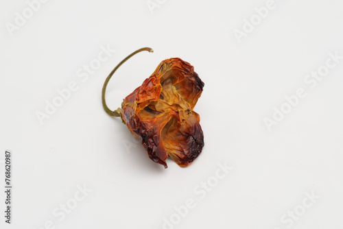 Hot pepper Bishop's crown on a white background.