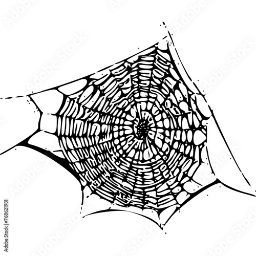 Vector illustration. The vector spider web is highlighted without a background.