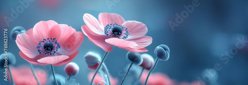 Spring banner, pink flowers on blue background, copy space © Irène