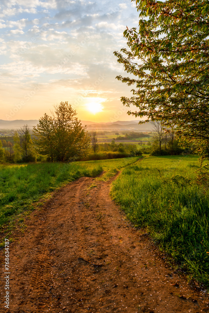 Sunrise in a spring field with green grass, a gravel path with tire marks, the sun comes out from behind the tree leaving deep shadows. Mountains in the background.