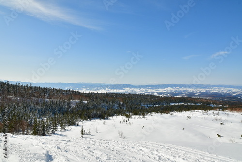 Winter landscape of hokkaido japan near biei snow cold ski
