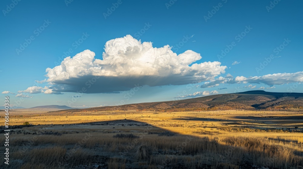 Field With Large Cloud in the Sky