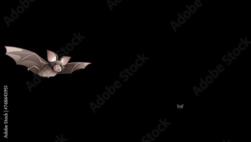 Bat Echolocation Illustrated in Action photo