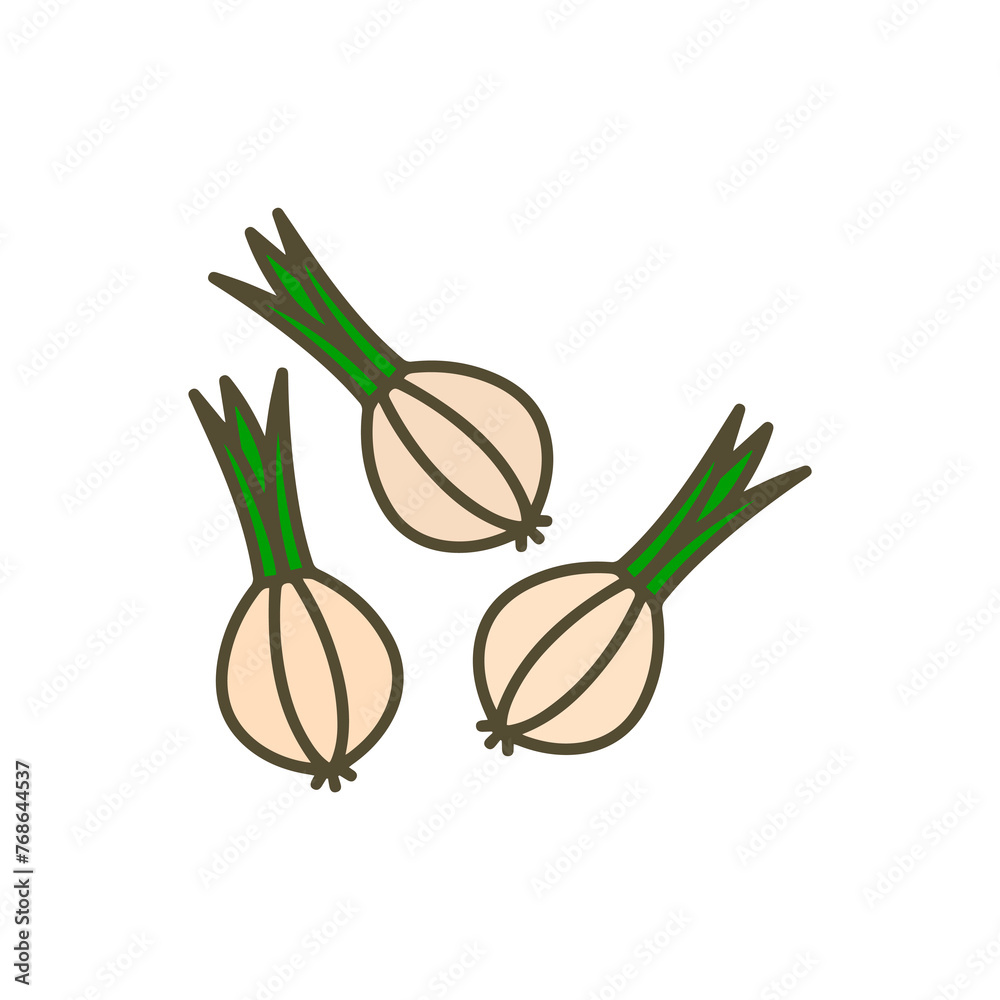 onion icon on a white background, vector illustration