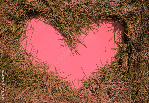 Pink heart on cutting fresh grass from the lawn. Abstract nature background. Grass texture.