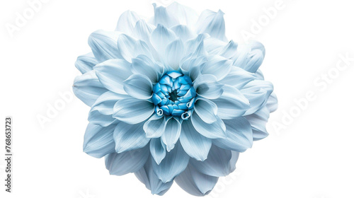 Wallpaper Mural blue flower isolated on white Torontodigital.ca