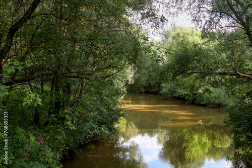 Picturesque summer landscape with river and reflection. Dense thickets. In distance white heron. Silence  quiet  tranquility. Beauty in wilderness.