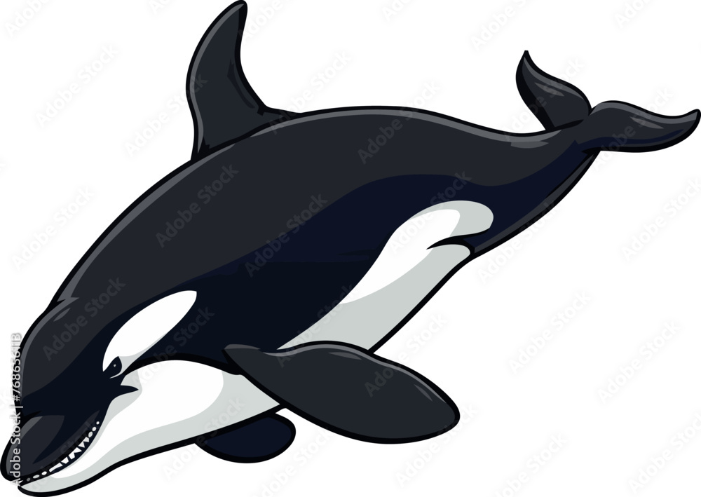 Obraz premium animali Marini, squalo, orca e tartaruga 06