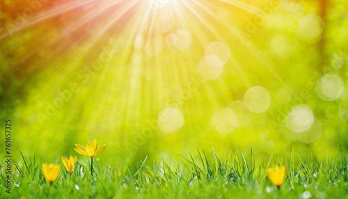 art abstract spring background or summer background