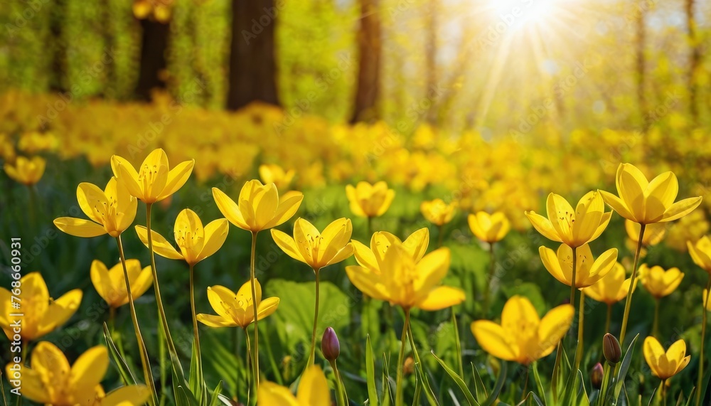 Obraz premium Colorful spring or nature background