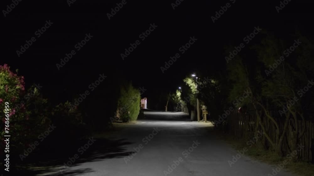A night street with trees and bushes swaying in the wind, illuminated by the steady light of street lamps, and with a wooden fence A night street with trees and bushes swaying in the wind, illuminated by the steady light of street lamps, and with a wooden fence