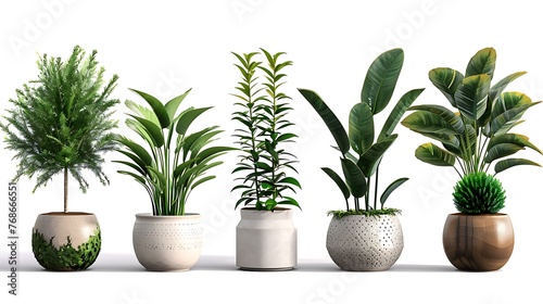 artificial plants isolated on white transparent background. House plants. Generative Ai
