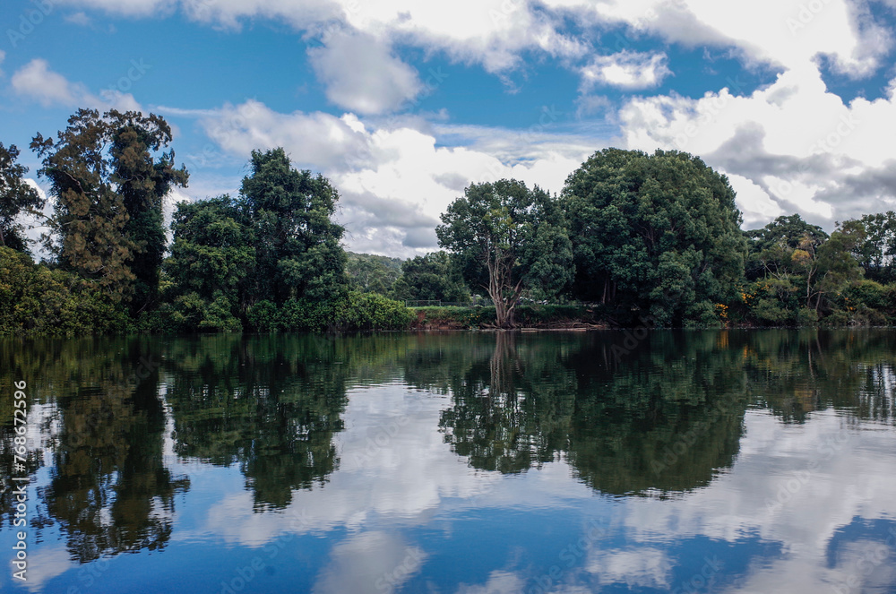 reflection of trees in lake