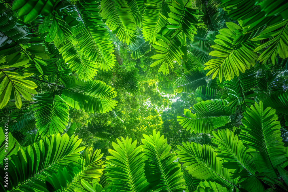 An upward view beneath a dense tropical forest, with the sun casting light on the rich greens and creating a dynamic contrast with the sky