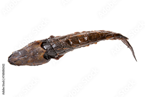 Whole hot smoked african catfish (Clarias gariepinus) isolated on white background. Top view.