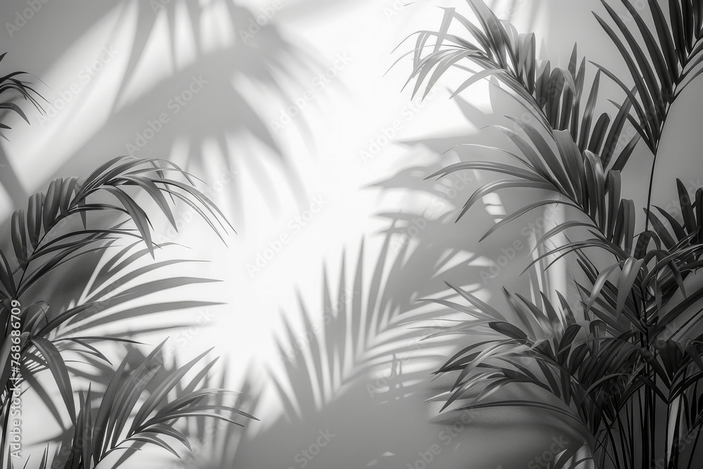 White background with shadows cast by tropical palm leaves, creating a fresh and natural look.