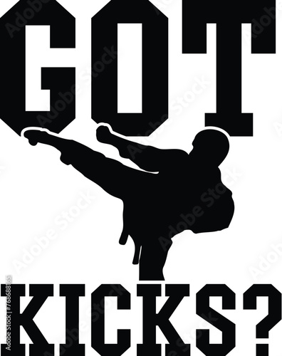 Taekwondo Vector Illustration, Fighter, Martial Arts,  Kicks, Quote,, Combat, Sport photo