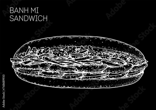 Banh mi sandwich sketch. Hand drawn vector illustration. Vietnamese food. not AI