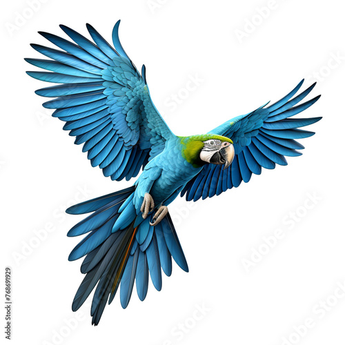 blue winged macaw isolated on transparent background
