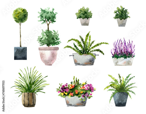 Plants in pots watercolor illustration