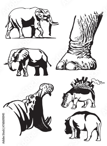 Graphical set of elephants  and hippos on white background, vector illustration	