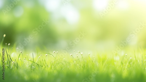 Bright green grass with morning dew and sunbeams
