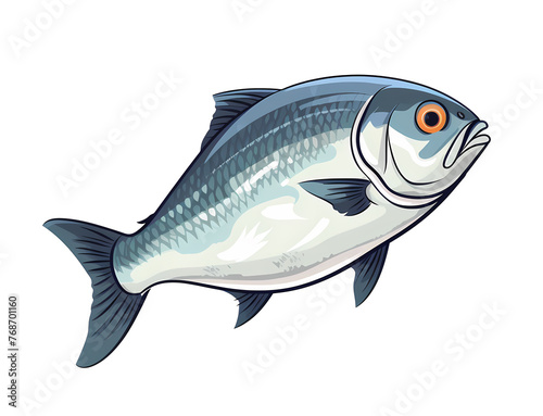 Fish isolated on white background photo