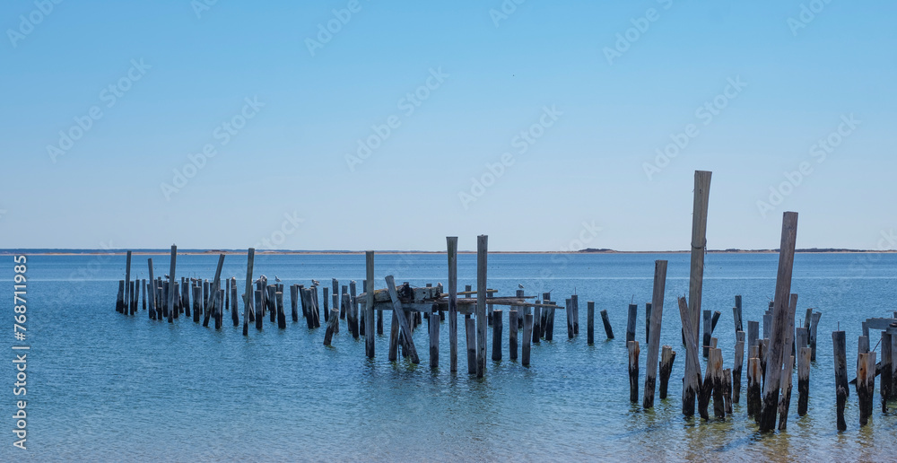 Wood logs standing in Atlantic ocean in Provincetown, Massachusetts