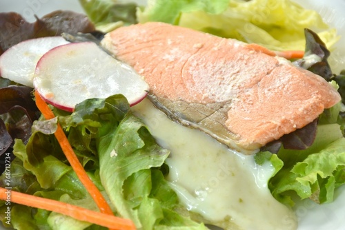 gelled salmon with mixed vegetable salad dressing spicy and sour seafood cream sauce on plate