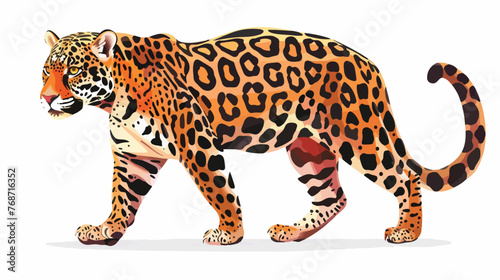 Jaguar isolated on white background