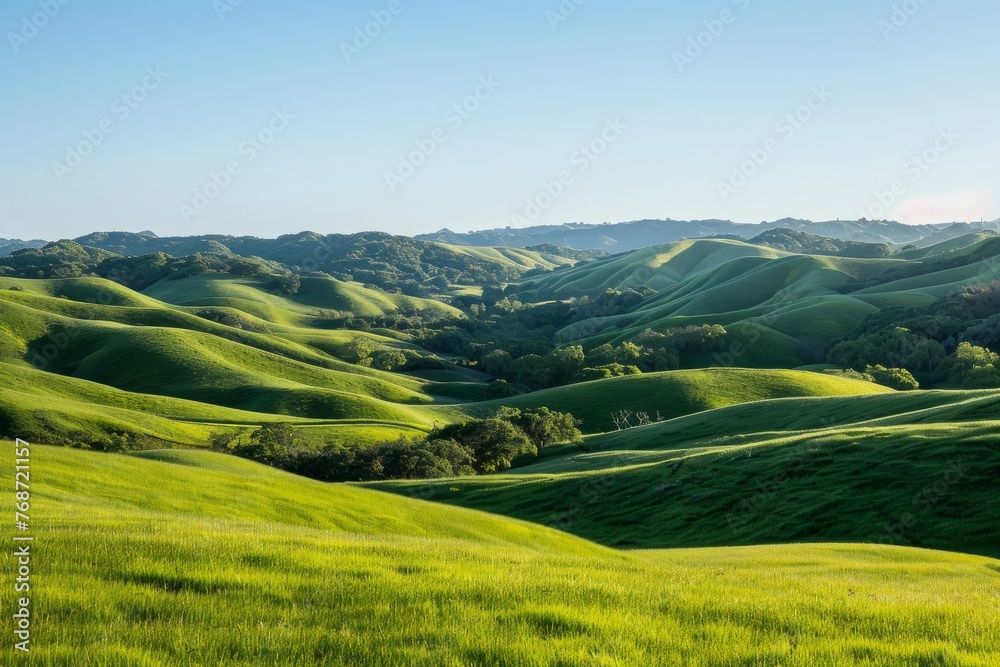 Expansive Rolling Green Hills at Sunrise, Wide Angle View