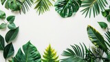 Tropical Paradise, Colorful Leaves on White Background, Minimal Exotic Summer Concept with Copy Space