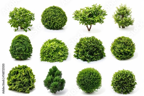 Set of Lush Garden Bushes Isolated on White Background, Landscaping Elements