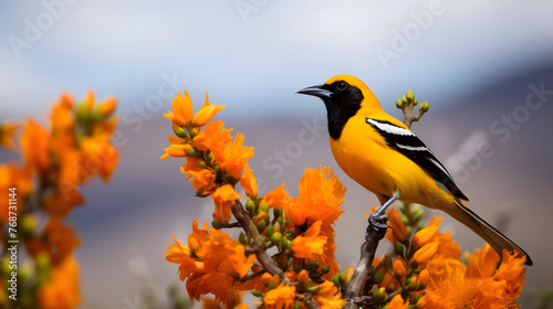 Vibrant Songster, Hooded Oriole in Southwestern US Landscapes. Generated AI