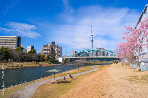 Obraz na płótnie 東京都江戸川区 春の旧中川の河川敷と東京スカイツリー w salonie