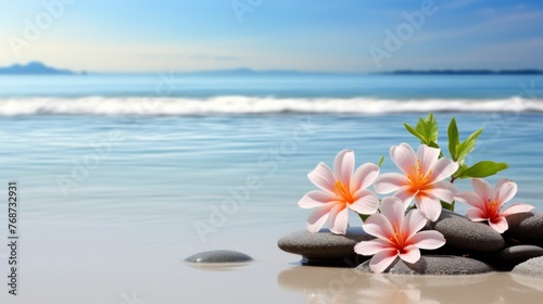Beautiful lotus flower on the water with copy space for background