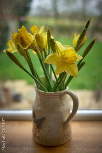 daffodils in a jug