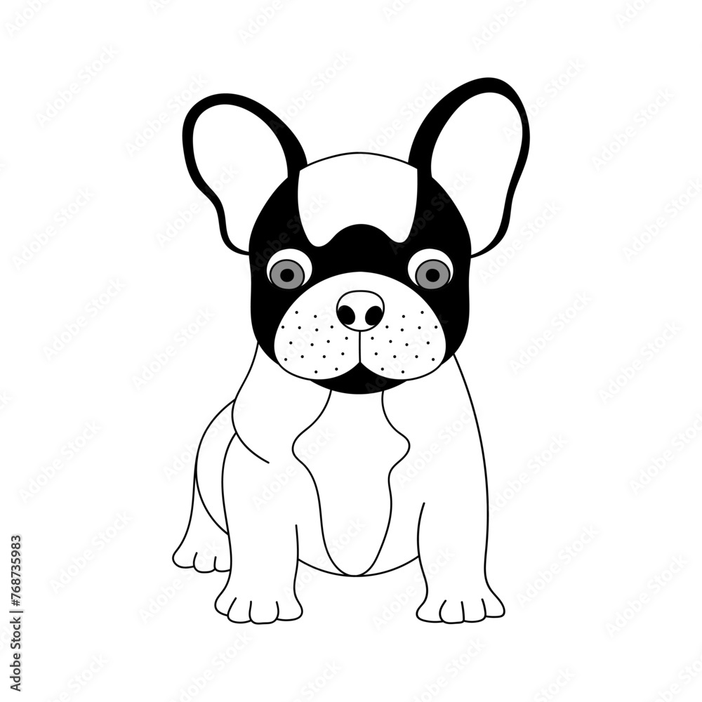 French bulldog, sitting in front of white background French bulldog, sitting in front of white background