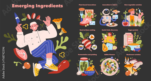 Culinary Innovation Set.. Vector illustration.
